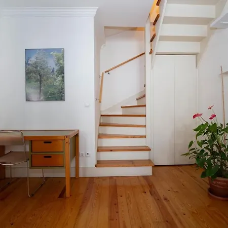 Artistic Duplex